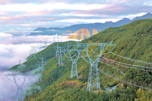 “十四五”国家电网生长效果①：转型生长向新向绿