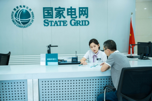 “十四五”国家电网生长效果①：转型生长向新向绿