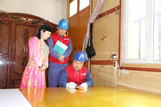 “十四五”国家电网生长效果①：转型生长向新向绿