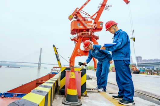 “十四五”国家电网生长效果①：转型生长向新向绿