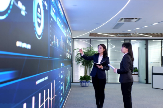 “十四五”国家电网生长效果①：转型生长向新向绿