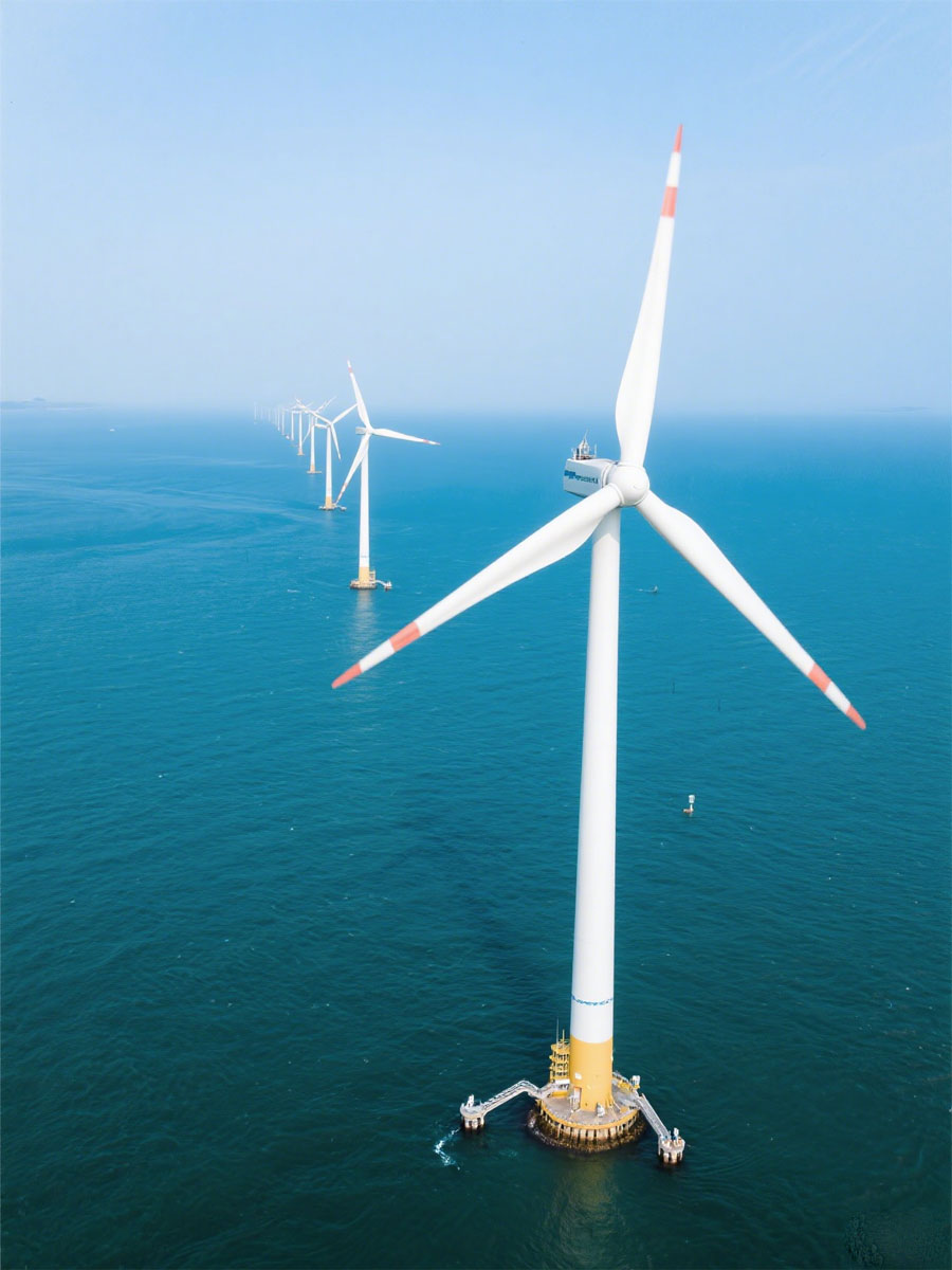 央企与民企睁开竞争 海优势电9月竞标